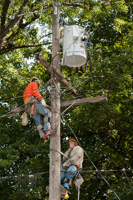 AVISTA 12072 - CLARKSTON CREW
