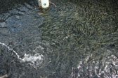 16032_GCPUD_307