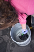 16032_GCPUD_352