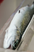 16032_GCPUD_372