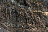 16051_GCPUD_005