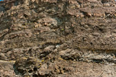 16051_GCPUD_006
