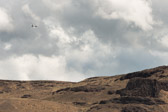 16051_GCPUD_019