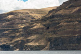 16051_GCPUD_038
