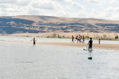 16051_GCPUD_160