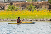 16051_GCPUD_172