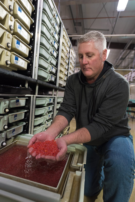   17060 GCPUD G Biology 108
