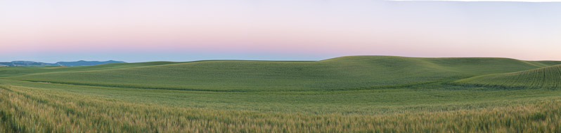 Palouse 6_26 1