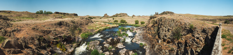 Breeden 1