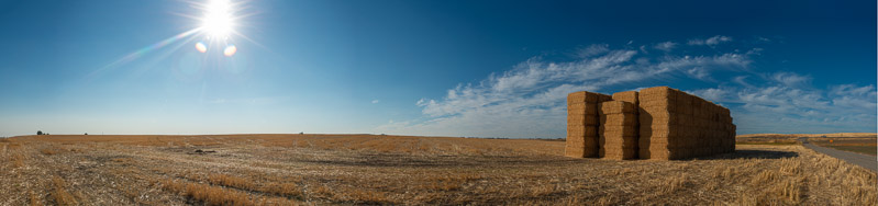 Davenport Haystack crop_flat