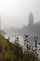 20241 Avista Report Scout Columbia River