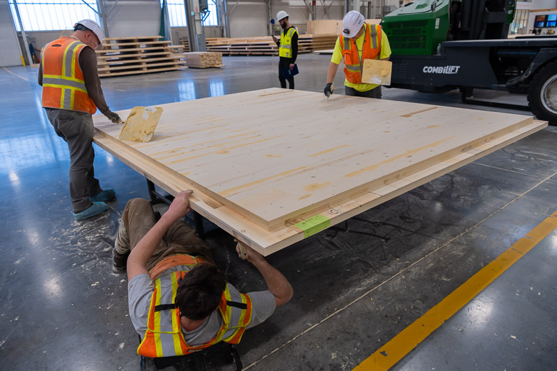 22373 Green Canopy NODE  CLT plant 005