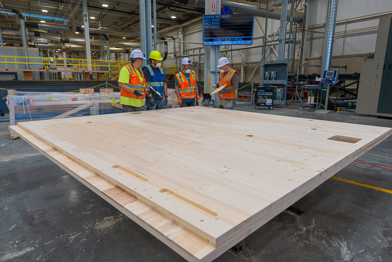 22373 Green Canopy NODE  CLT plant 089