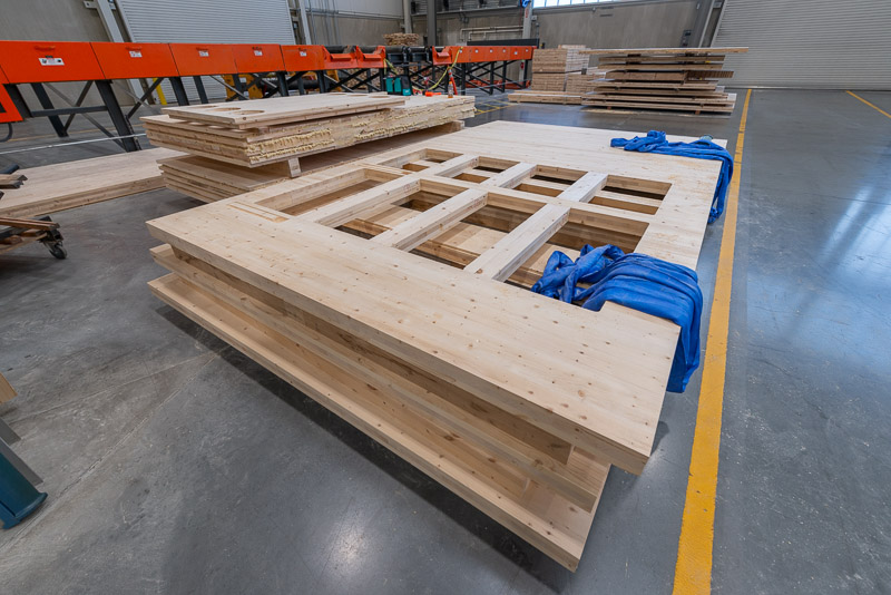22373 Green Canopy NODE  CLT plant 090
