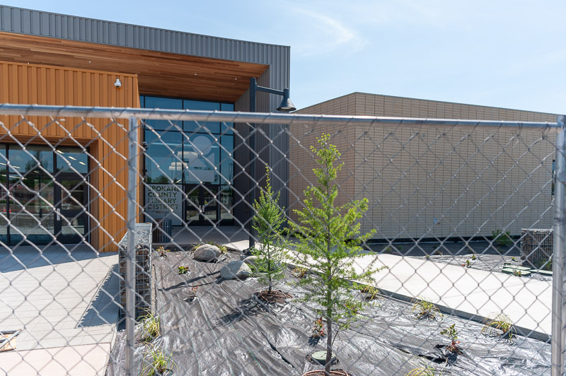 23483 Valley Lib_Scout 18