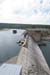 Nine_Mile_Dam_092